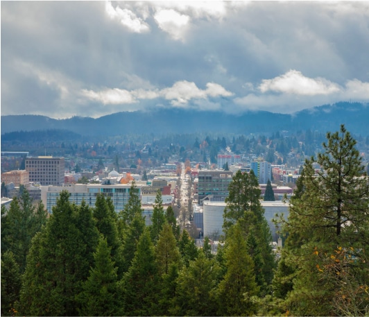 adobestock 369459090 image